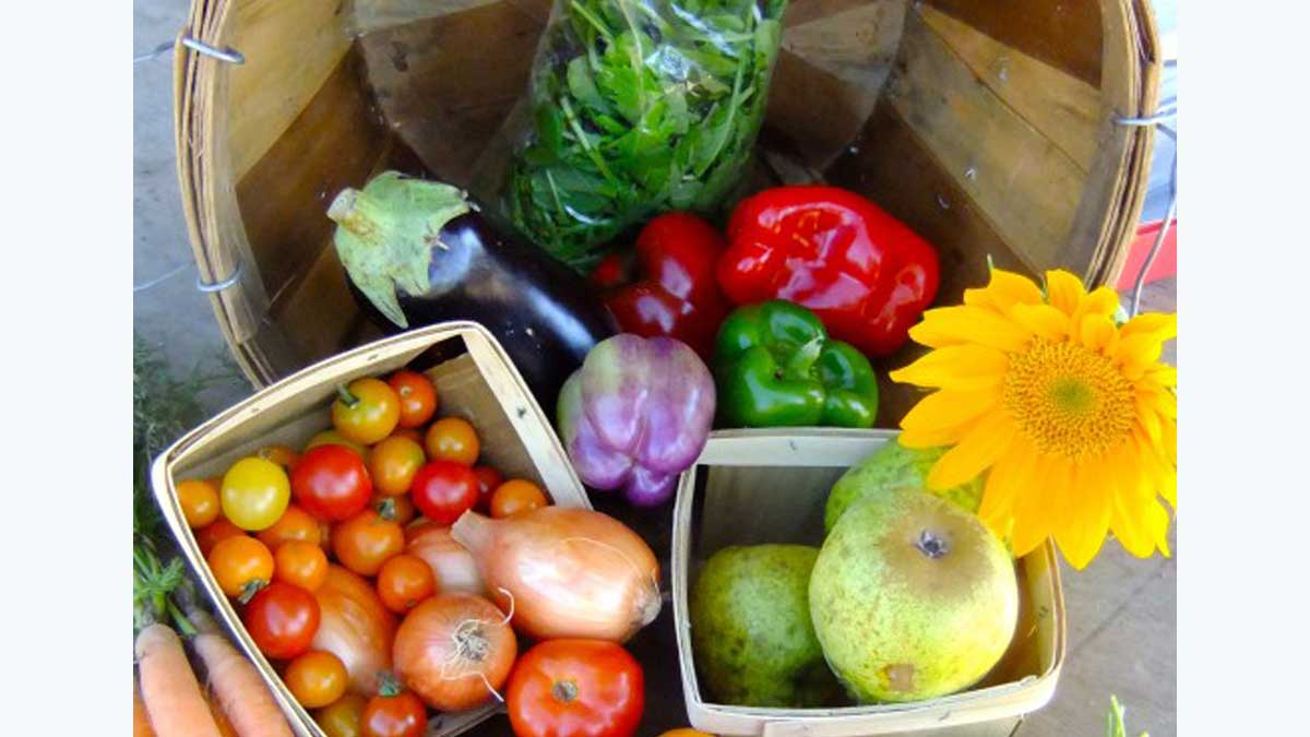 Sandhills Farm To Table Celebrates A Decade Of Service Sandhills Sentinel