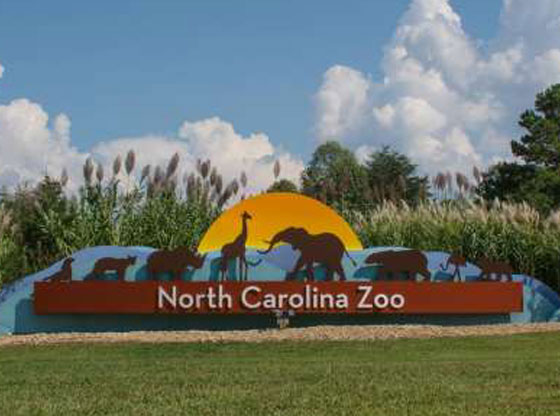 NC Zoo to drop requirement for reservations July 1