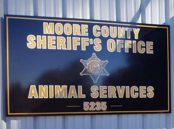 Animal Services temporarily suspends canine intakes