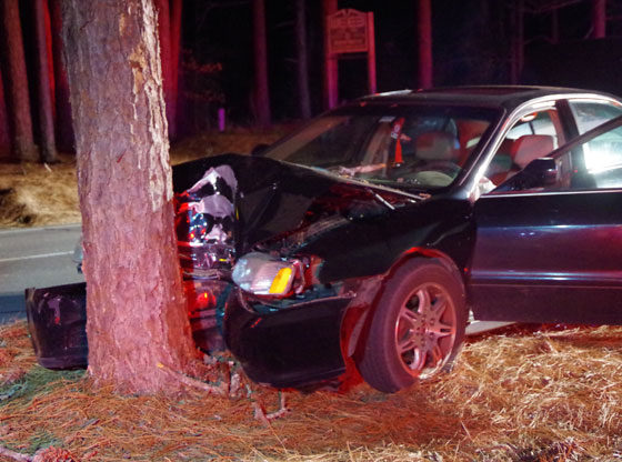 driver escapes injury hitting tree