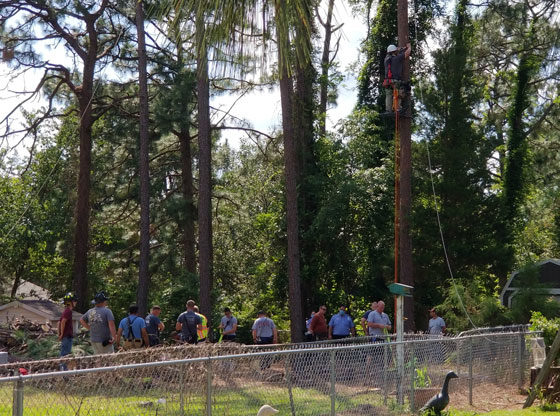 Emergency crews rescue man stuck tree
