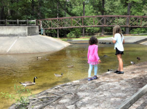Reservoir Park included in Ambient Lakes Monitoring Program