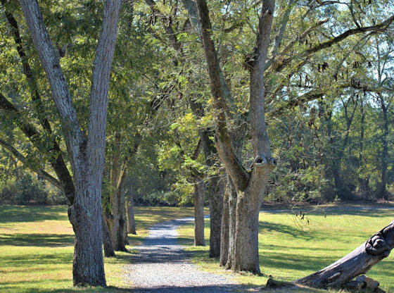  Phillips Memorial Park shines in fall
