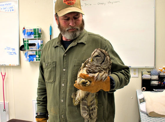 Pinehurst resident rescues owl 'crying like a baby'