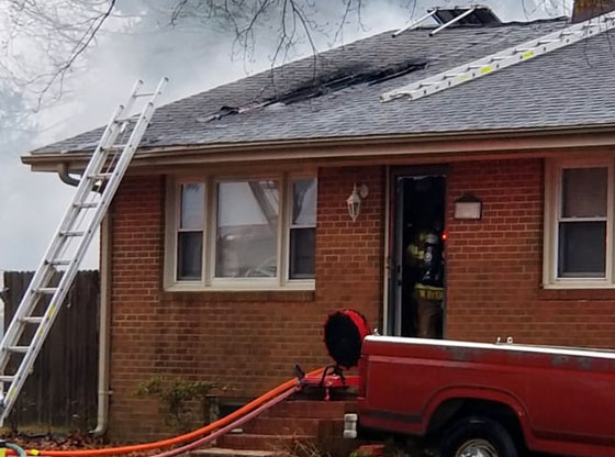 Family and dogs escape fire