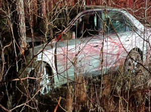Car crashes into woods