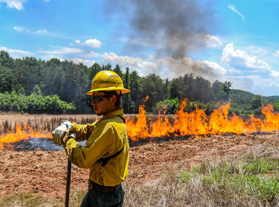 Burn ban issued for Moore County due to hazardous forest fire conditions
