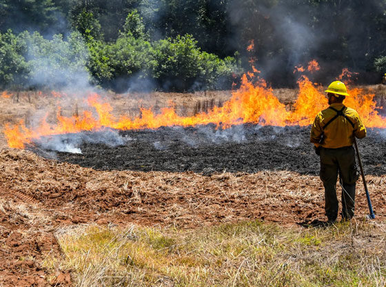 Burn ban lifted for Moore County