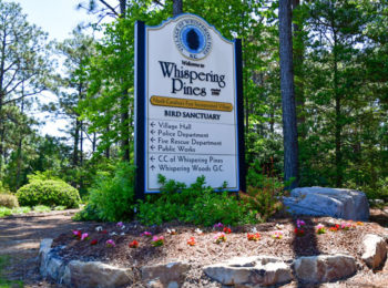 Village earns Tree City USA recognition