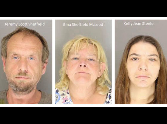 Deputies make arrests in child sex crimes case