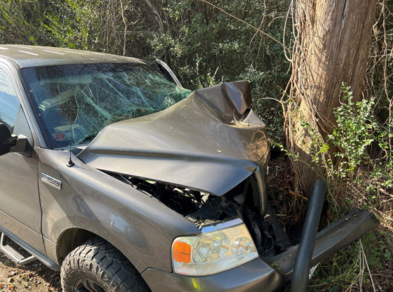 Truck Crashes Into Tree Sandhills Sentinel 