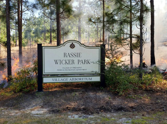 Village to conduct prescribed burn at Rassie Wicker Park