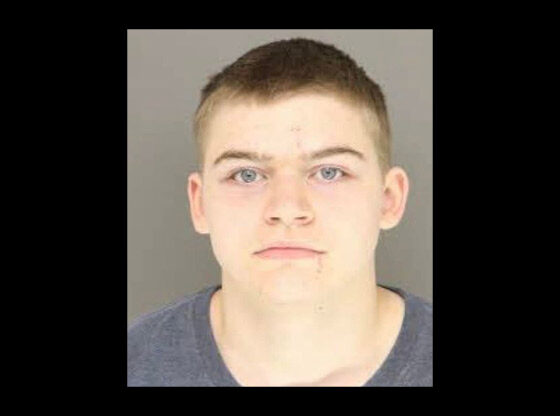 Teen charged with felony breaking or entering a motor vehicle