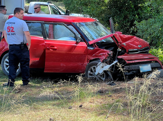 Driver crashes into trees near Eastwood