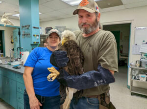 'Good guys' work to save bald eagle