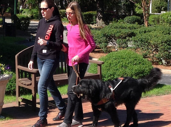 MIRA to build guide dog school in N.C.
