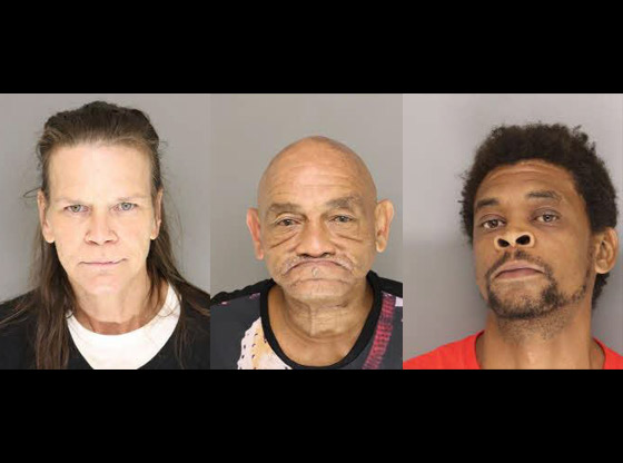 Three arrested after drug investigation in Jackson Hamlet