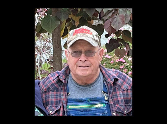 Obituary for William L. Howard of Cameron