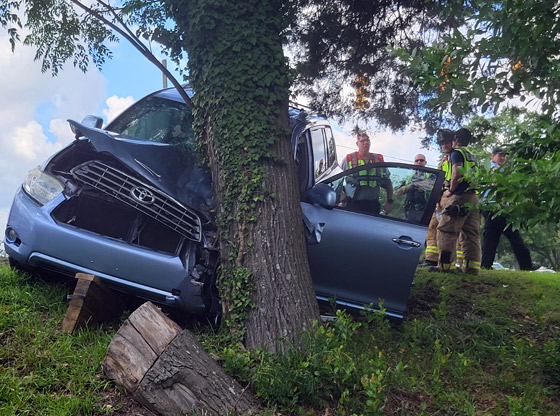 Vehicle strikes tree on Morganton Road