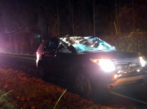 Robbins officer escapes serious injuries after tree falls on police car
