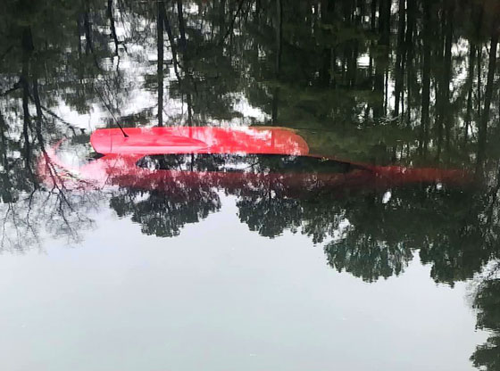Man survives after car rolls over into pond