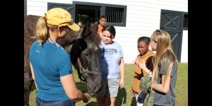 Partnership with BGCS, Weymouth Equestrians is galloping along
