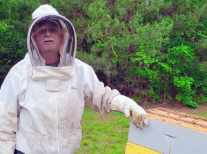 What’s the buzz? Take a look inside an apiary with Dees Bees