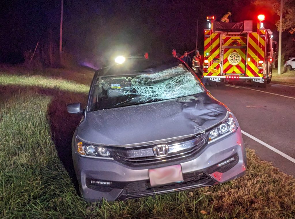 Horse dies after hit by car - Sandhills Sentinel