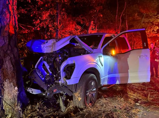 Driver airlifted after crashing into tree