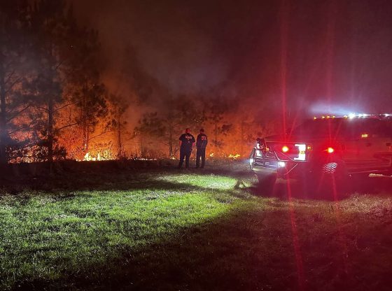 Firefighters contain 2-acre woods fire near West End
