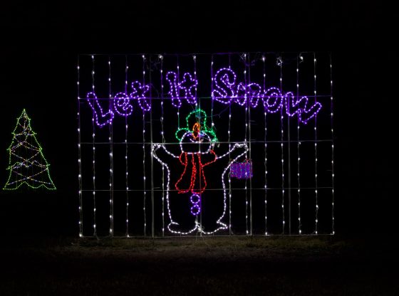 Family farm lights up Sandhills with Christmas display