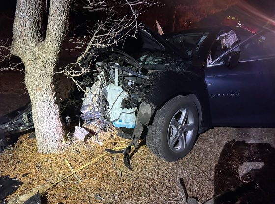 Car crashes into dump truck and tree