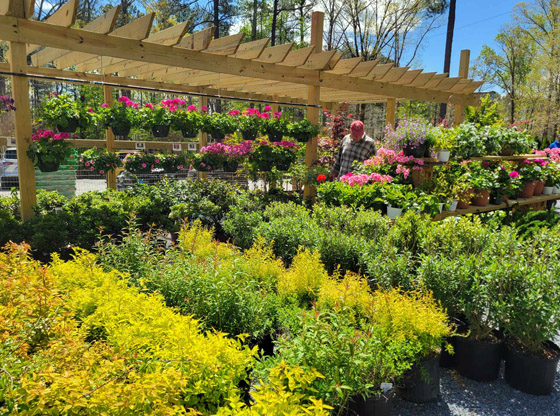 Putting down roots: Local couple opens Garden Center by AOS