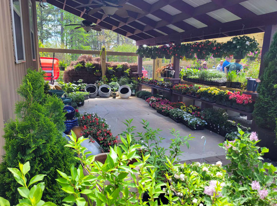 Putting down roots: Local couple opens The Garden Center by AOS Carthage