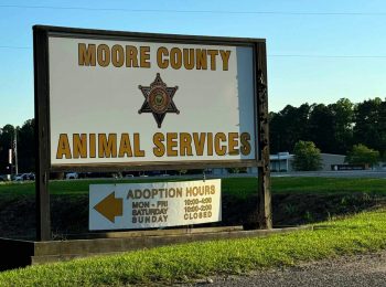 Animal Services to expand hours