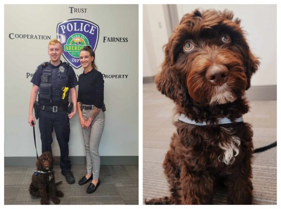 Tails of success: Therapy dog has pawsitive effect on APD