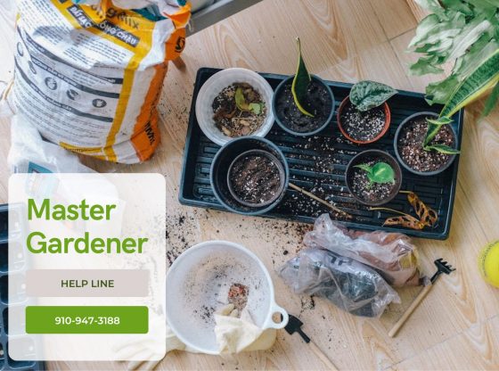 Master Gardener Help Line - March through October