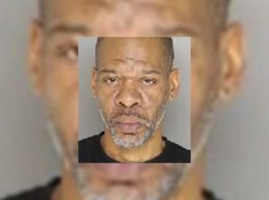 Man accused of using stolen credit card at area businesses