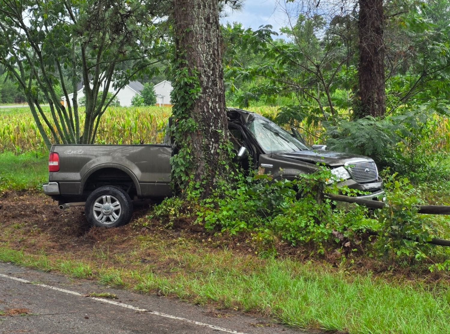 Driver escapes vehicle after striking tree in Carthage - Sandhills Sentinel
