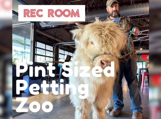 Pint Sized Petting Zoo - Sept. 15