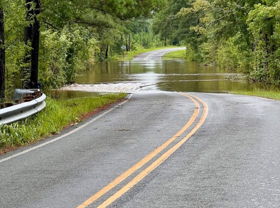 BBB offers tips for recovering after Tropical Storm Debby