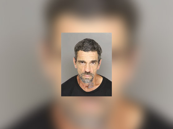 Man arrested in felony larceny case