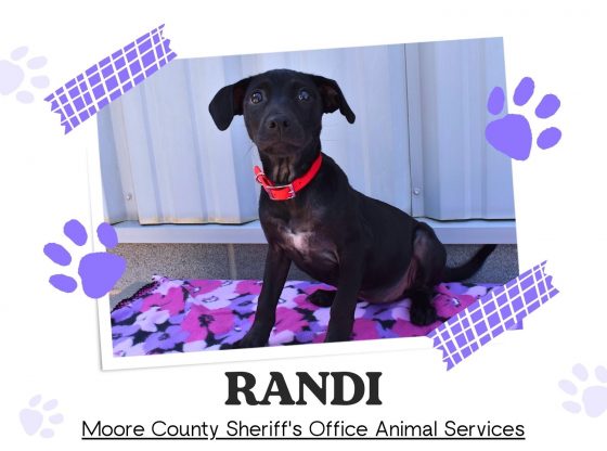 Meet Randi!