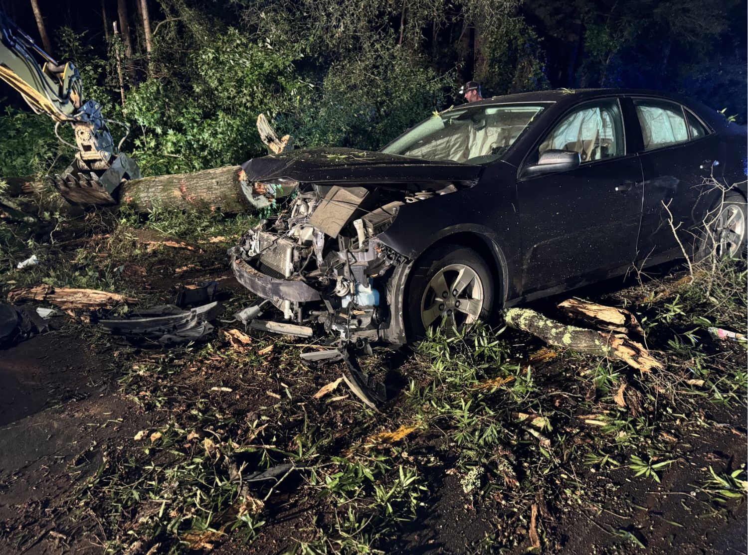 Drivers remain uninjured after collision with fallen trees