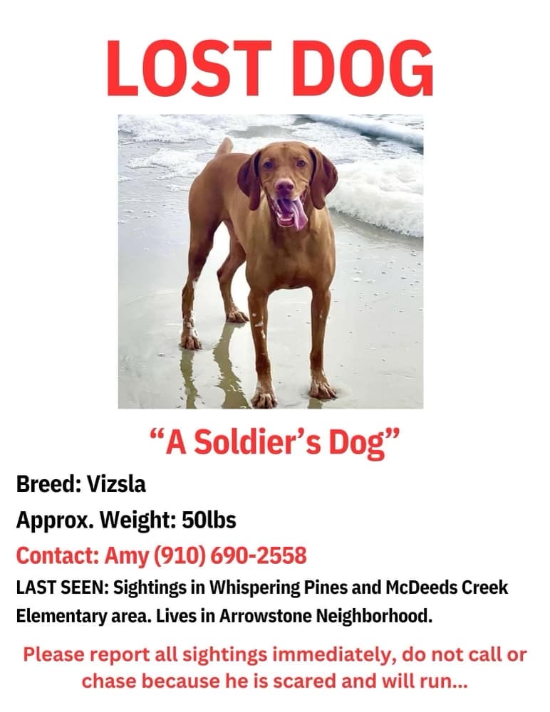 Lost dog in Whispering Pines area