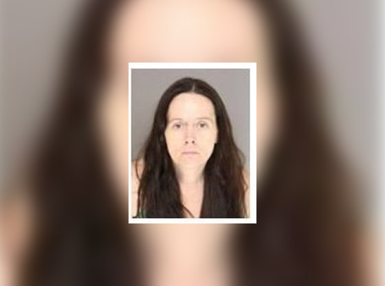 Woman accused of stealing $1,300 worth of Walmart merchandise