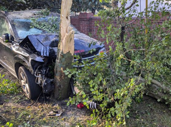 Van totaled after striking tree in Pinehurst