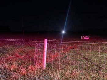 Driver facing charges after crashing into cow pasture