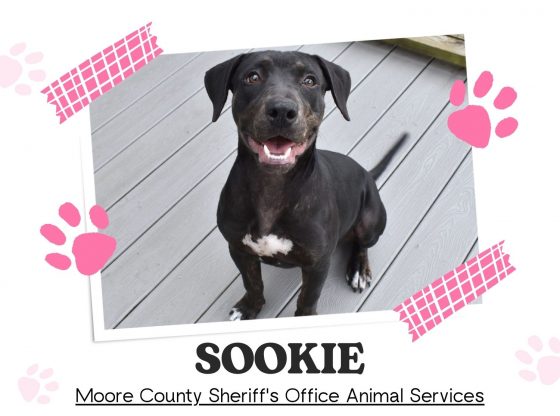 Meet Sookie