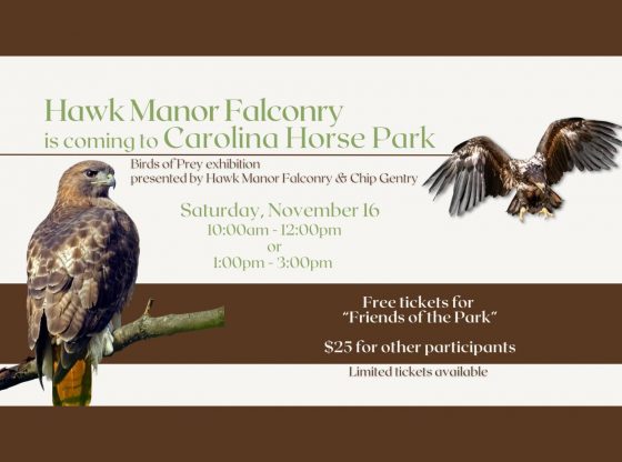 Birds of Prey Exhibition: Hawk Manor Falconry & Chip Gentry - Nov. 16